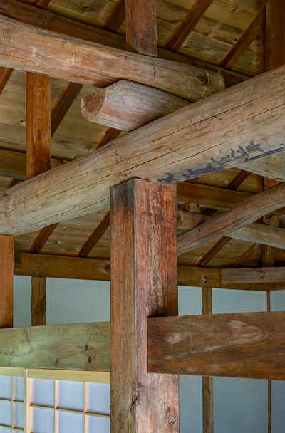 Daikoku Cherry Center Post, Nancy Belluscio, On-Site Photography